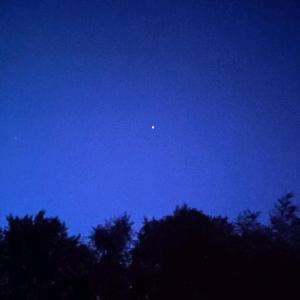 小陆生活头像