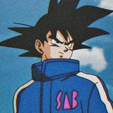 衡水17米5大板车队耿恒超头像