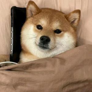 西门头像