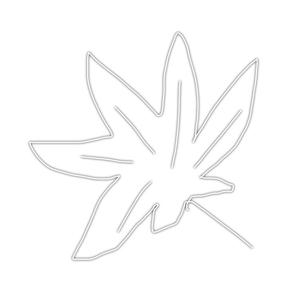 没有重复的枫叶头像