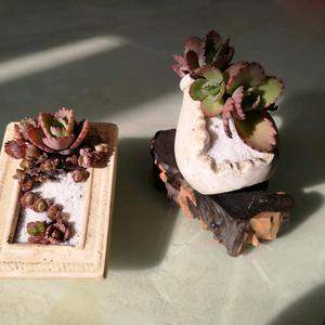 博学多才的kaola头像