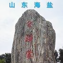 海龙的佳音头像