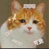 唯周不二头像