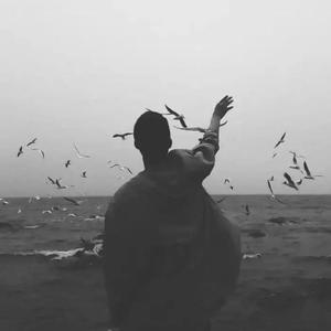 看个大片吧头像