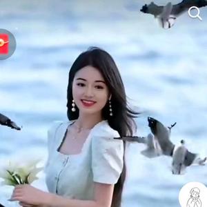 德宝小宝头像