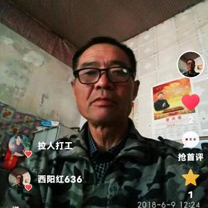 西阳红`头像
