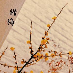 董李所说头像