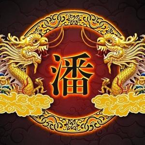 智慧的潘哥手机剪辑头像