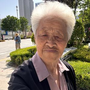 独木参天头像