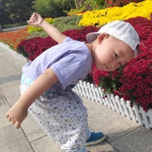 小石头一家人头像