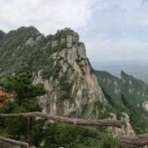 听雨dd头像