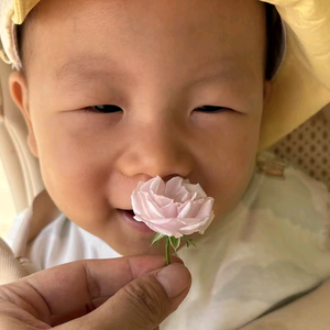 朋磊在努力头像