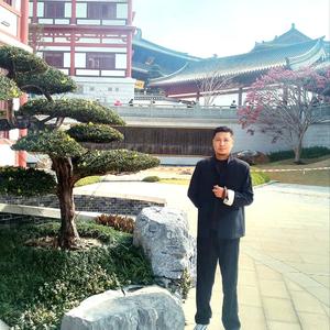 道门古法养生头像
