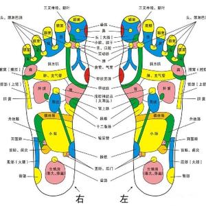 我74lw头像