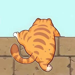 趴趴走的猫头像