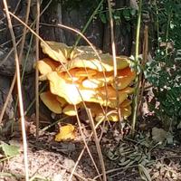 游乐场河池3M7头像