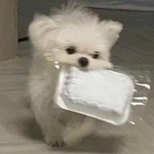 财宝谷物屋头像