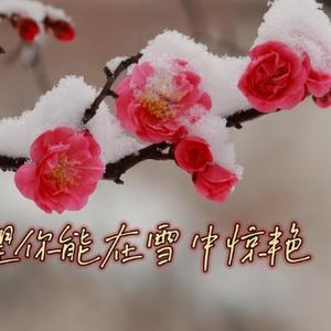 辛儿生活记头像