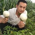 小征美食记头像