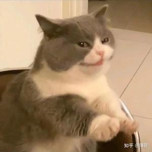 疾风文远头像