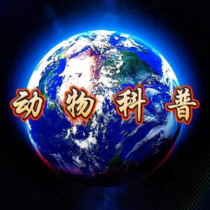 奇妙动物头像