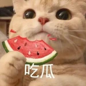小鱼入梦头像