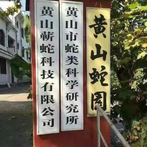 黄山蛇园家家头像