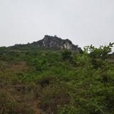 峰剑缘头像