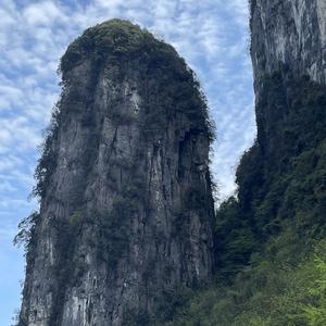 齐岳山乡头像