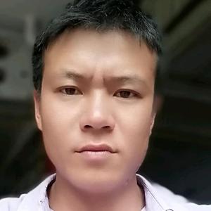 龙凤天下4O7w头像