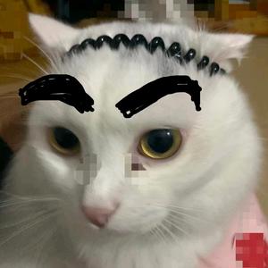 皮皮段子君 头像