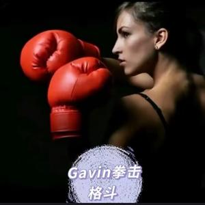 Gavie拳击格斗头像