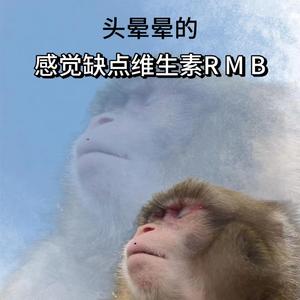 白雲头像