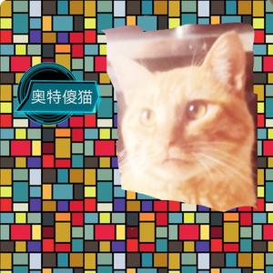 奥特傻猫头像