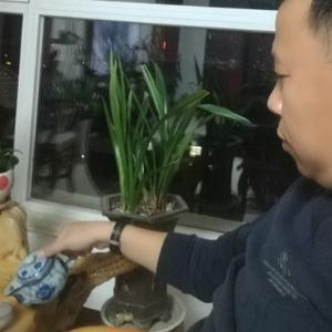 稳稳的幸福41693296头像