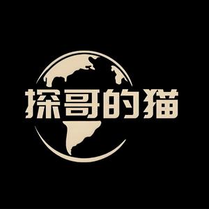 探哥的猫头像