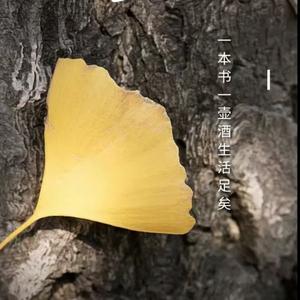 一起来聊聊头像