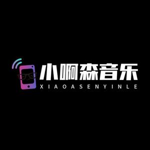 小啊森音乐头像