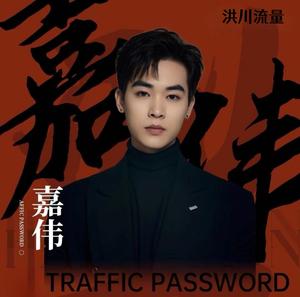 行业流量顾问嘉伟头像