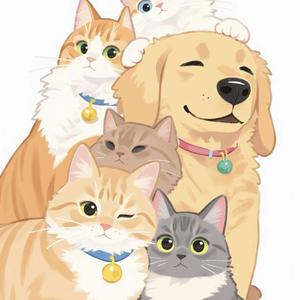 爱犬居宠物服务有限公司（山东片区）头像