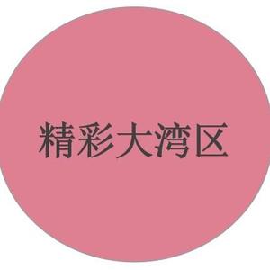 精彩大湾区头像