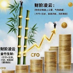 财阶凌云头像