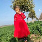 杭州印花段公子头像