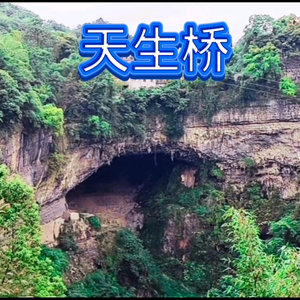趣听风铃头像