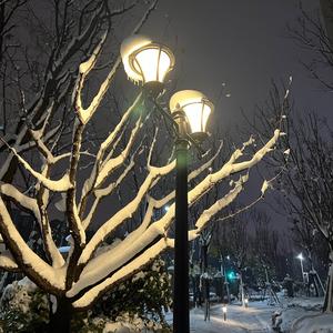今天你快乐吗头像