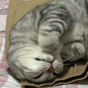 没钱姐头像