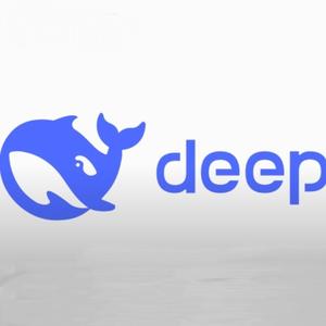 deepseek深度用户头像