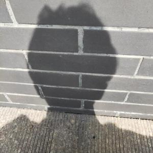 一清头像