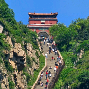 老猫《游泰山》头像