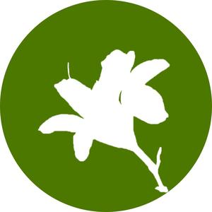祥和黄花菜种苗头像